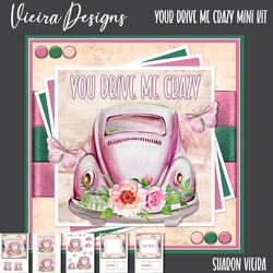 You Drive me crazy Mini kit 
