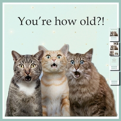 How Old?! one