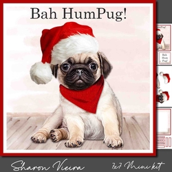 HumPug