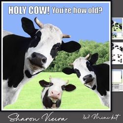 HOLY COW