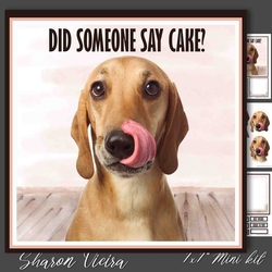 Say Cake?