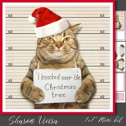 Chritsmas Tree 