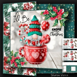 Cute Christmas Gnomes
