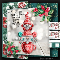 Cute Christmas Gnomes 2