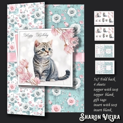 5x7 kitten foldback 1