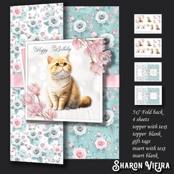 5x7 kitten  foldback 2