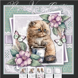 Coffee cats three