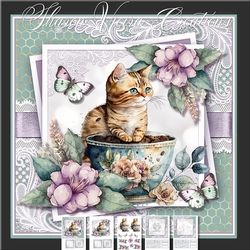Coffee cats four 