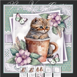 Coffee cats five