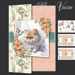 cat Fold back 