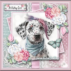 Dalmatian KIT - ONE  