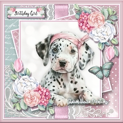 Dalmatian KIT - THREE