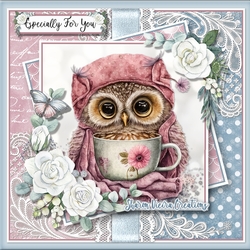 Just and Owl and her  Tea KIT: TWO