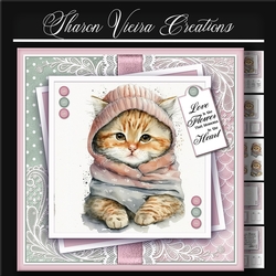 Just a Portrait of a Cute cat KIT-ONE