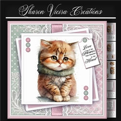 Just a Portrait of a Cute cat KIT-TWO