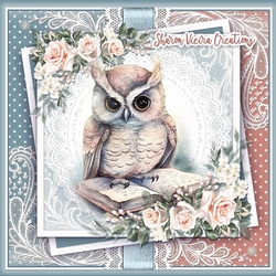 An OWL ANd His Book KIT-THREE