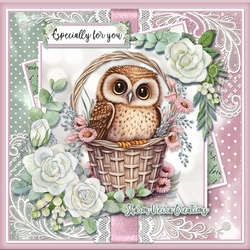 Just and Owl and her basket KIT-THREE