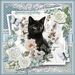 Just a gorgeou black cats KIT- THREE