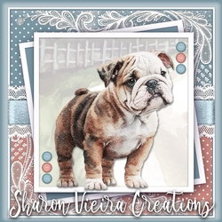 The Cute Bulldog KIT THREE