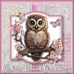 A cute Owl KIT-OWL