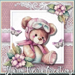 Birthday Bear Complete Mini Kit three 