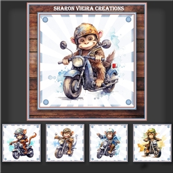 The Biker Topper kit