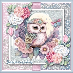 Beautiful Owl one
