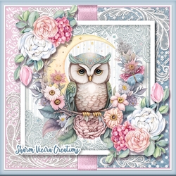 Beautiful Owl 2