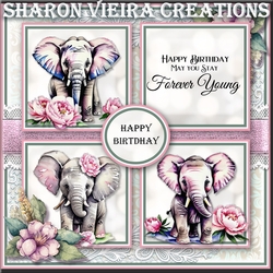 Birthday Elephant 
