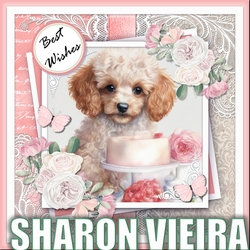 birthday poodle one