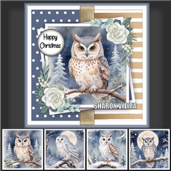 Winter owl