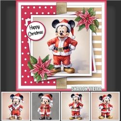 Santa