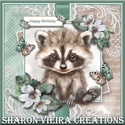 Cute Racoon