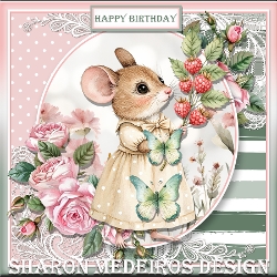 Birthday Mouse