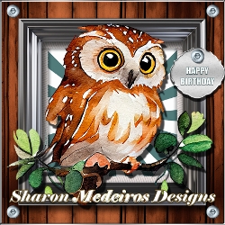 The Wood Owl three 