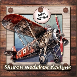 The Airplane 1