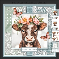 Cute Highland Cow 2