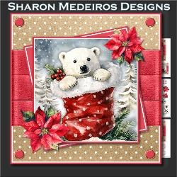 Christmas Bear 6