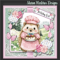 Birthday Hedgehog 