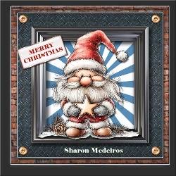 Santas Shining star