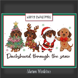 Festive Dachshunds