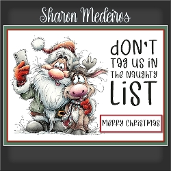 the naughty List 