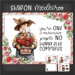 No Bunny Else quick card kit