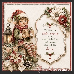 Little Christmas Moments