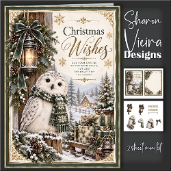 cup1465817_2357 - Christmas Owl 