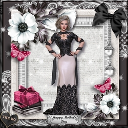 Midnight Velvet 3