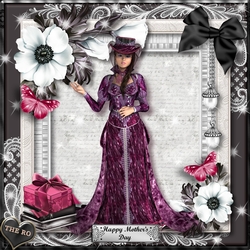 Midnight Velvet 4