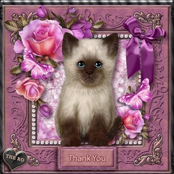 Flowers and Furs 2