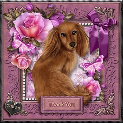 Flowers and Furs 5