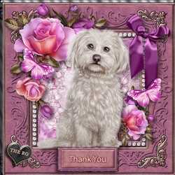 Flowers and Furs 7